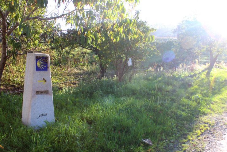 El Camino del Norte original